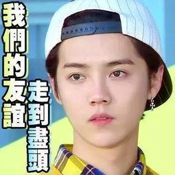 娱乐吃瓜王子,揭秘娱乐圈幕后故事